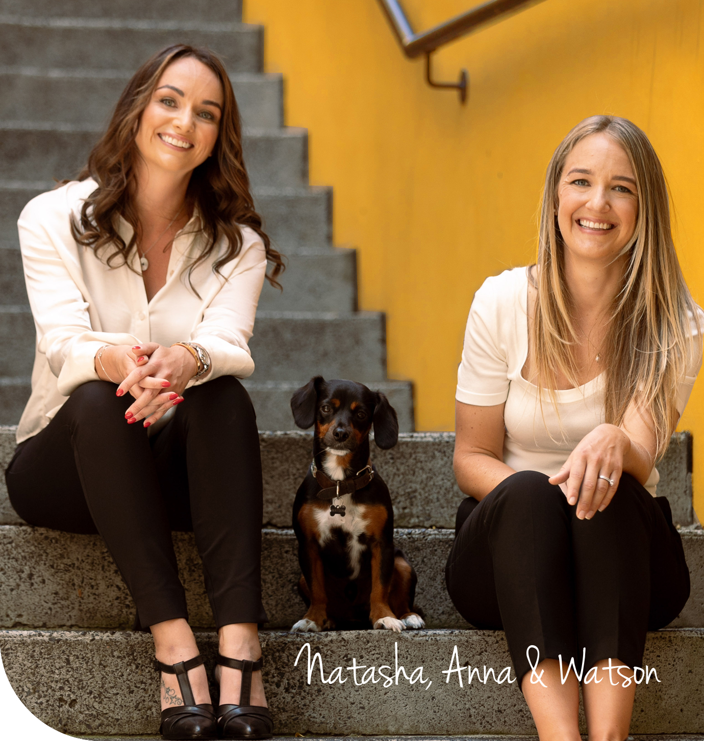 Passionate, hardworking, knowledgeable, and fun. Image